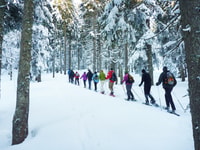 Feldberg, geführte Schneeschuhwanderung im Schwarzwald - Hizvo