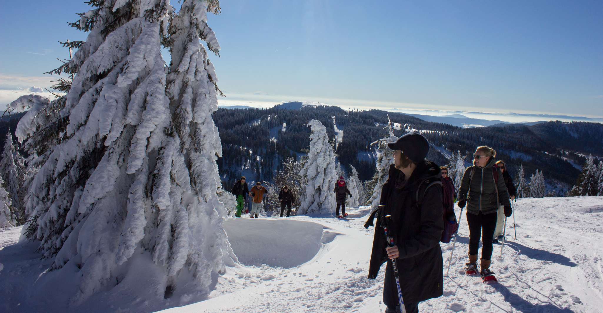 Feldberg, Guided Snowshoeing Tour in the Black Forest - Hizvo