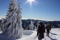 Feldberg, geführte Schneeschuhwanderung im Schwarzwald - Hizvo