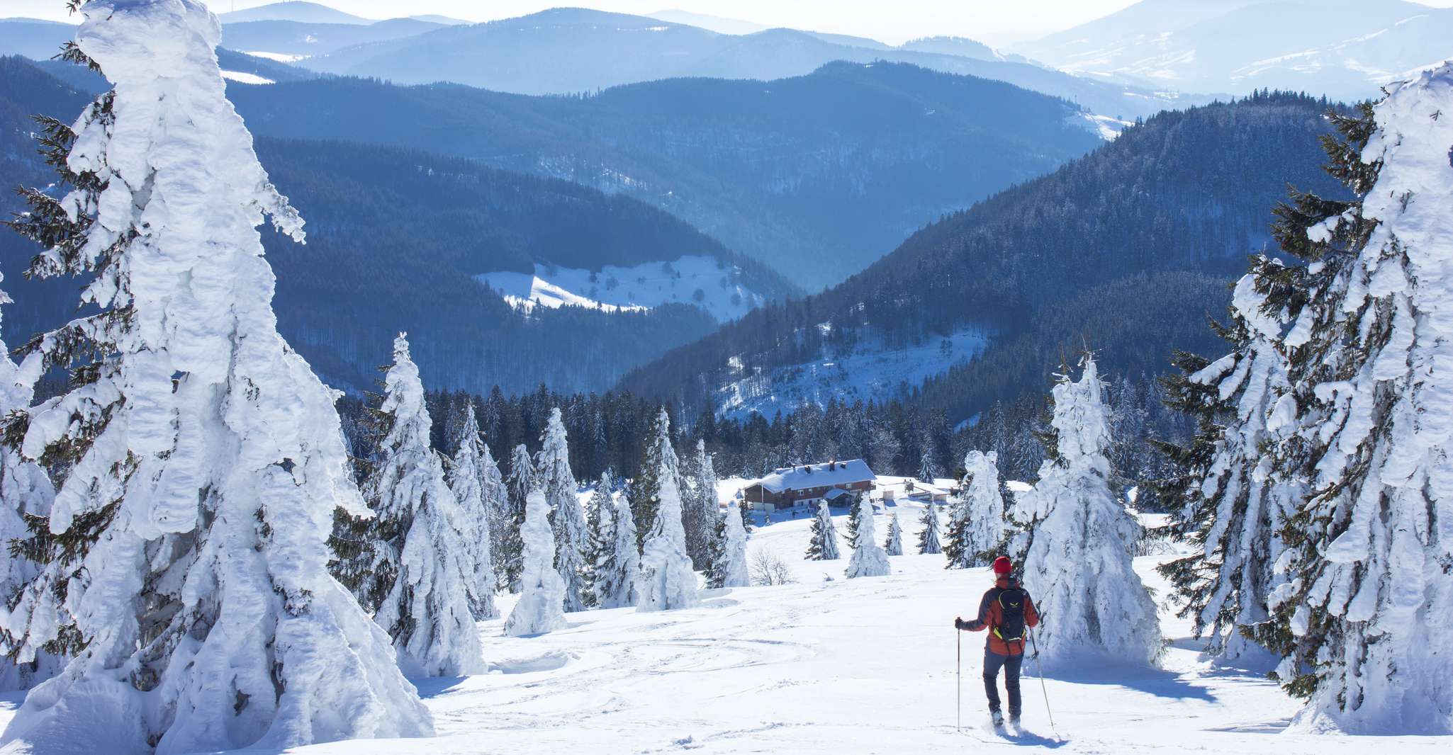 Feldberg, Guided Snowshoeing Tour in the Black Forest - Hizvo