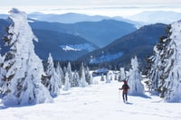 Feldberg, geführte Schneeschuhwanderung im Schwarzwald - Hizvo