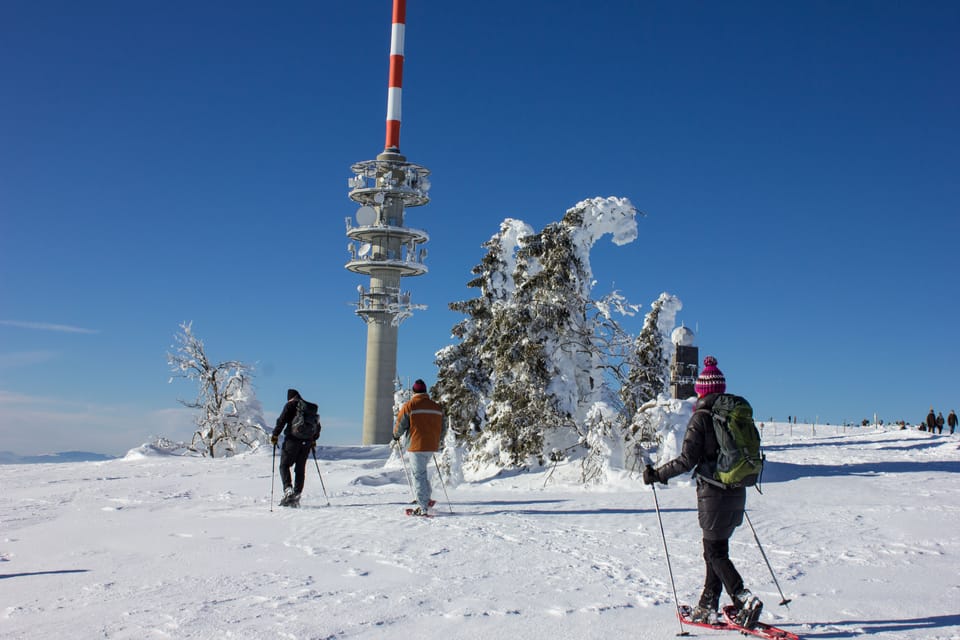 Feldberg, Guided Snowshoeing Tour in the Black Forest - Hizvo