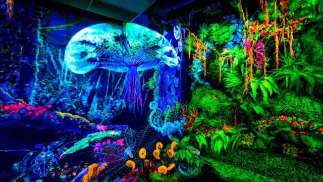 Visit George Town Dark Mansion 3D Glow in the Dark Museum Ticket in Grik and Penang Island