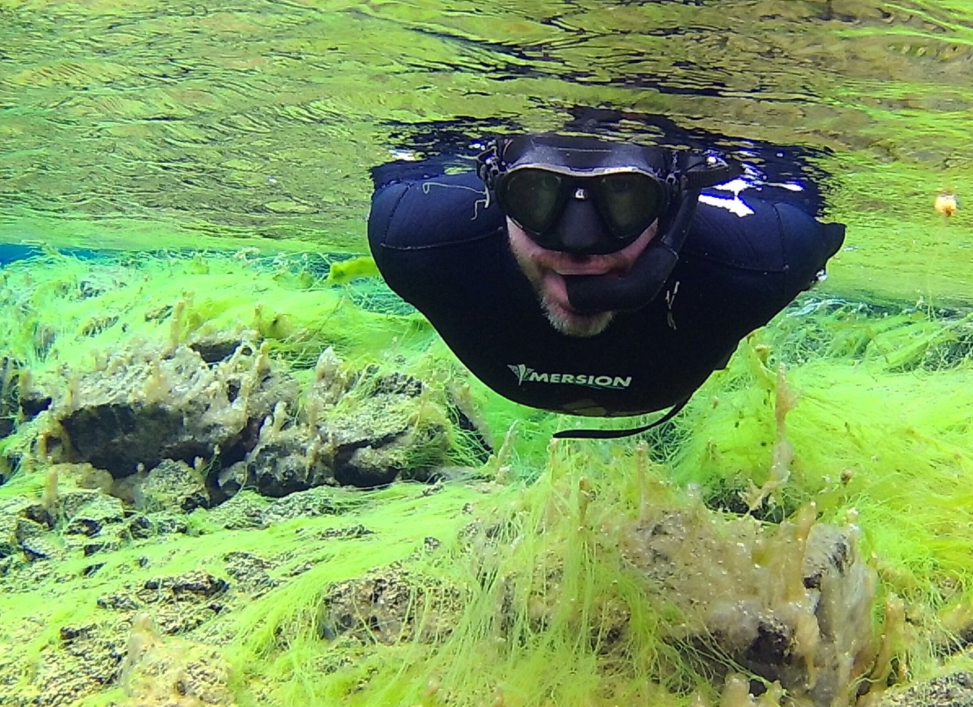 Thingvellir: Silfra Freedive Adevnture med en guide