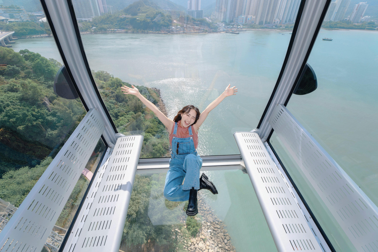 Hong Kong : 360 Lantau Culture & Heritage Tour Crystal Cabin Tour + Lunch at Tai O Heritage Hotel