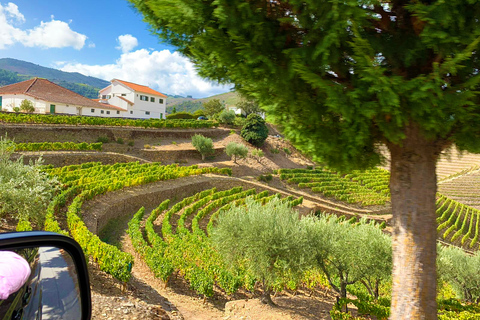 From Porto: Small-Group Douro Valley Wine Tour Lunch & Boat