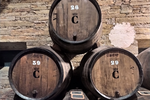 From Porto: Small-Group Douro Valley Wine Tour Lunch & Boat