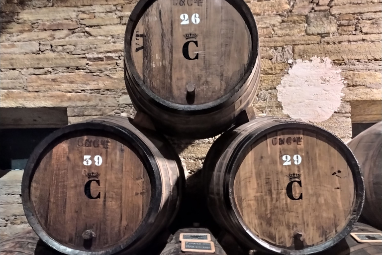 From Porto: Small-Group Douro Valley Wine Tour Lunch & Boat
