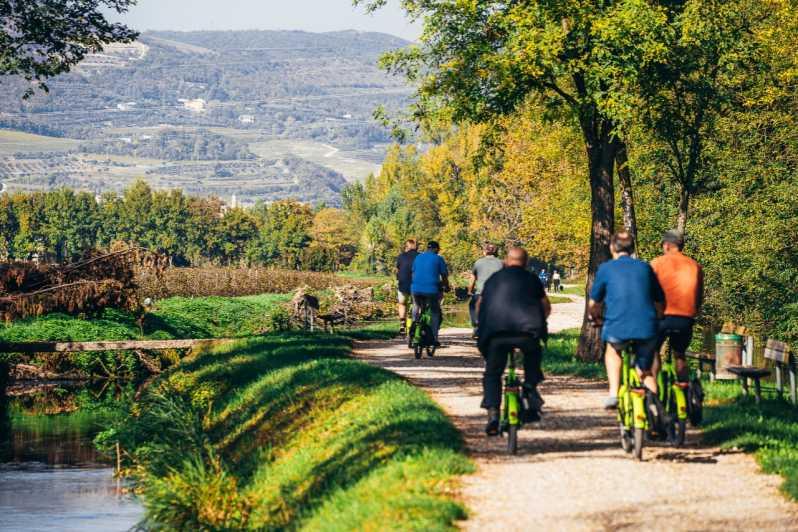 ヴェローナ：アマローネ田園地帯の電動自転車ツアーとワインの試飲