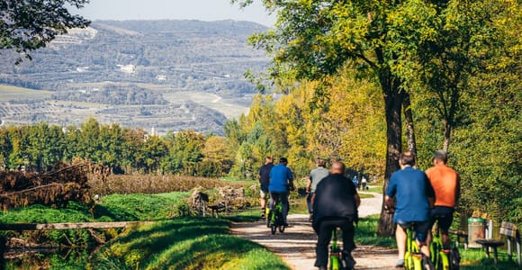 Verona: E-Bike-Tour durch die Landschaft mit Weingutbesuch und Verkostung