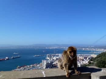 Ab Malaga: Privater Tagesausflug zu den Highlights von Gibraltar