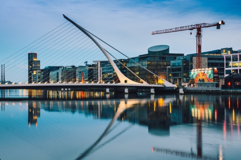 Dublin: privé stadswandeling met gids