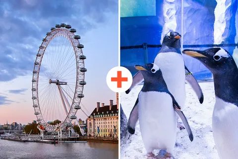 Συνδυαστικό εισιτήριο SEA LIFE & London Eye