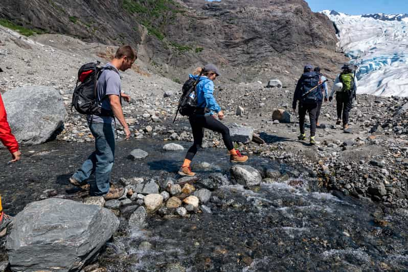 Juneau Or Mendenhall Valley Mendenhall Glacier Day Trip GetYourGuide   146 