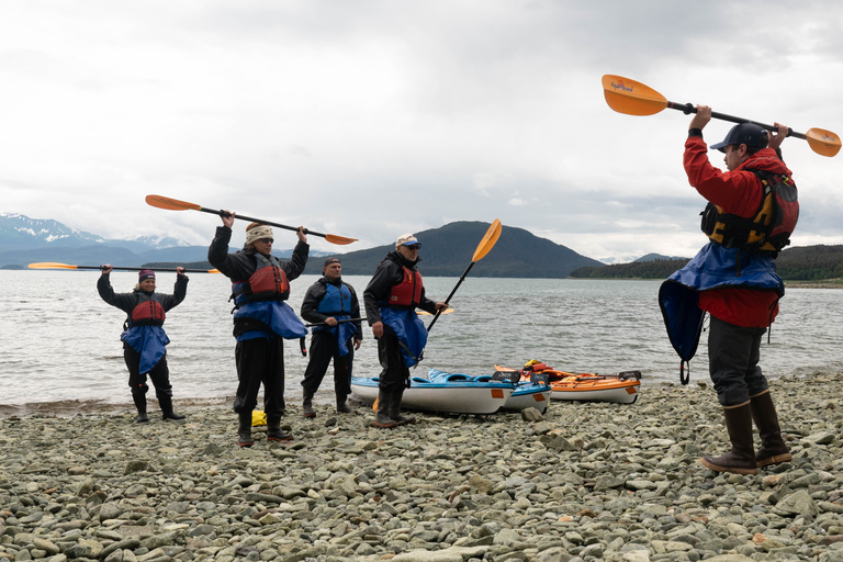 Juneau: Paddle with Whales Kayak Adventure
