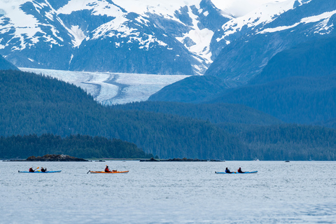 Juneau: Paddle with Whales Kayak Adventure