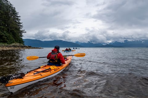 Juneau: Channel Islands Whale Watching Kayak Adventure