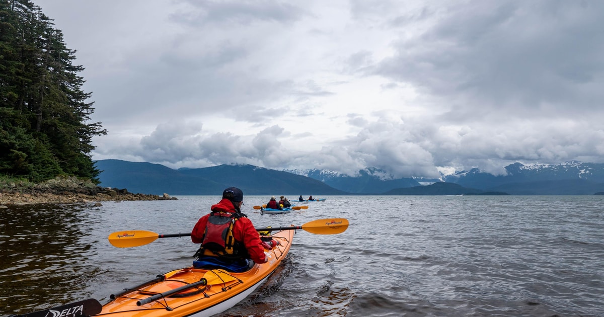 Juneau Channel Islands Whale Watching Kayak Adventure GetYourGuide