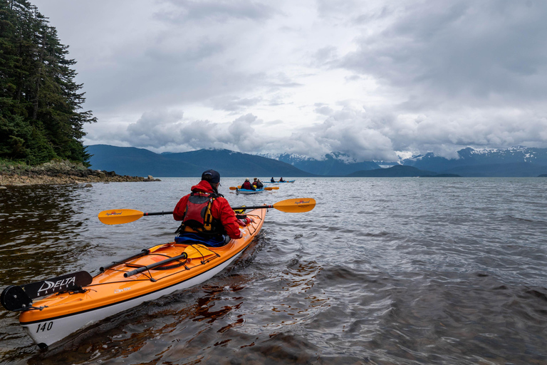 Juneau: Paddle with Whales Kayak Adventure