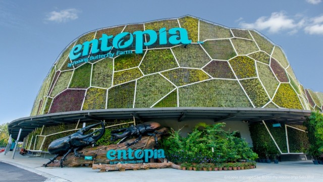 Visit George Town Entopia by Penang Butterfly Farm Entry Ticket in Butterworth