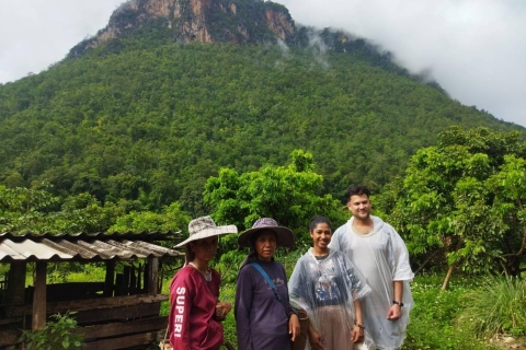 Chiang Mai: całodniowe zwiedzanie 5 górskich plemionCałodniowa wycieczka 5 Hill Tribes Trek przez lokalną ciężarówkę