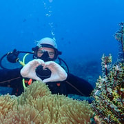 Boracay: Introduction to Scuba Diving Experience