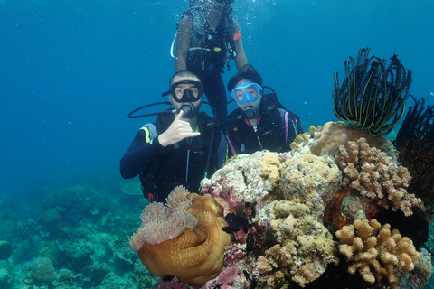 Boracay : Introduction à la plongée sous-marine