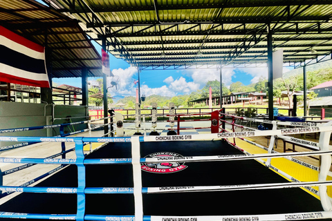 Chiangmai: Basic Muay Thai Experience with Training Session