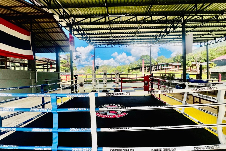 Chiangmai: Basic Muay Thai Experience with Training Session