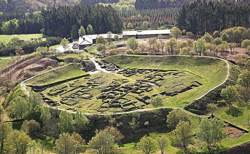 Lugo: Viladonga Fortress and Miño River Spring Tour