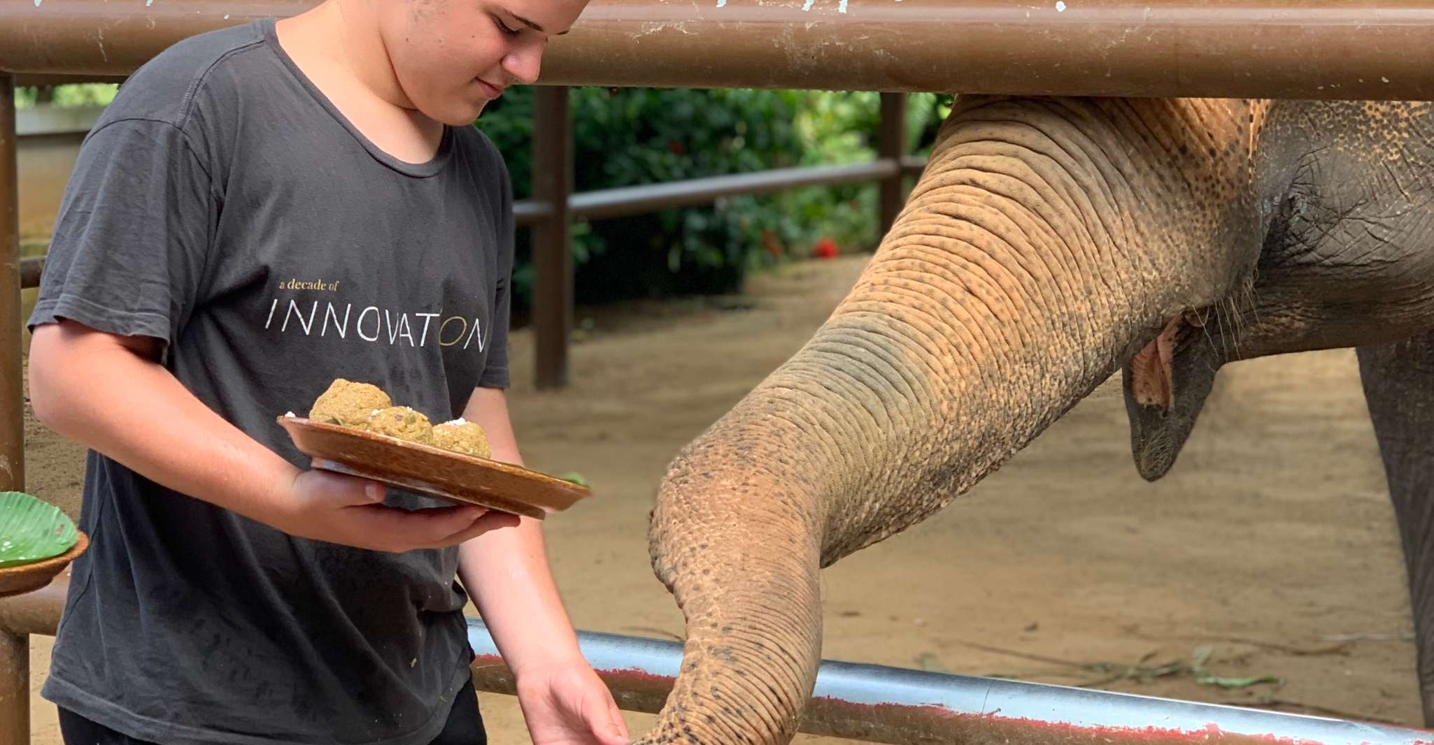 Koh Samui、Elephant Sanctuary、Jungle Tour with Lunch - Hizvo