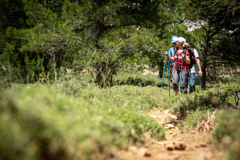 Rhodes Akramitis Mountain: Hike to the Top