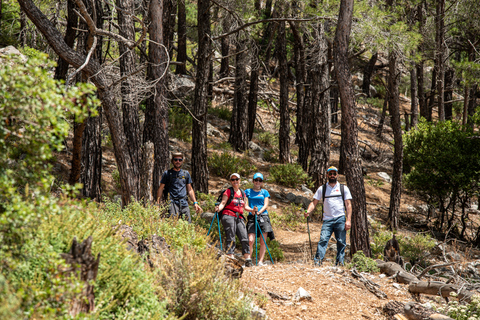 Rhodes Akramitis Mountain: Hike to the Top