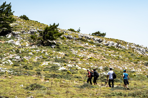 Rhodes Akramitis Mountain: Hike to the Top