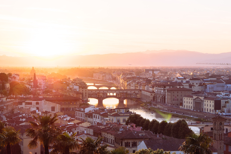 From Livorno: Florence Shore Excursion &amp; Walking Tour OptionTransfer Only