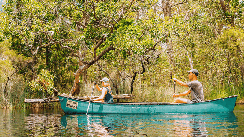 Noosa Everglades Explorer Cruise With Optional Canoeing GetYourGuide