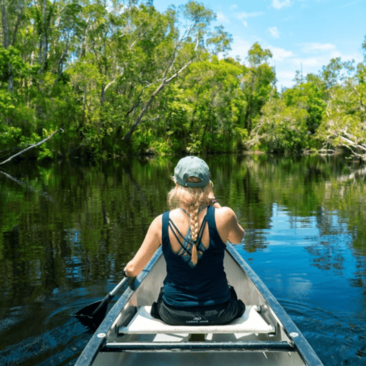 Noosa: Everglades Explorer Cruise with Optional Canoeing | GetYourGuide