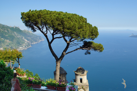 Från Sorrento: Positano, Amalfi och Ravello med minibuss från Sorrento