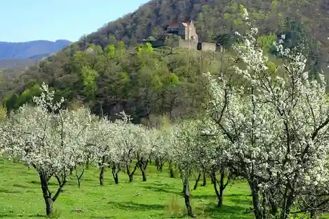 SB12 - Sibiu: Private Day Trip to Transylvanian Villages