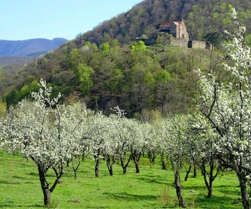 SB12 - Sibiu: Viagem privada de 1 dia às aldeias da Transilvânia