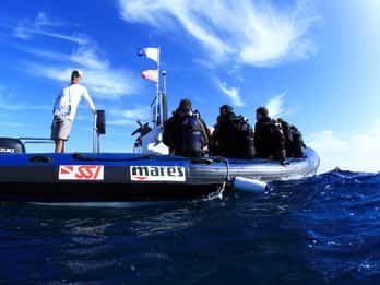 Puerto del Carmen: Guided Scuba Dive (certified only)