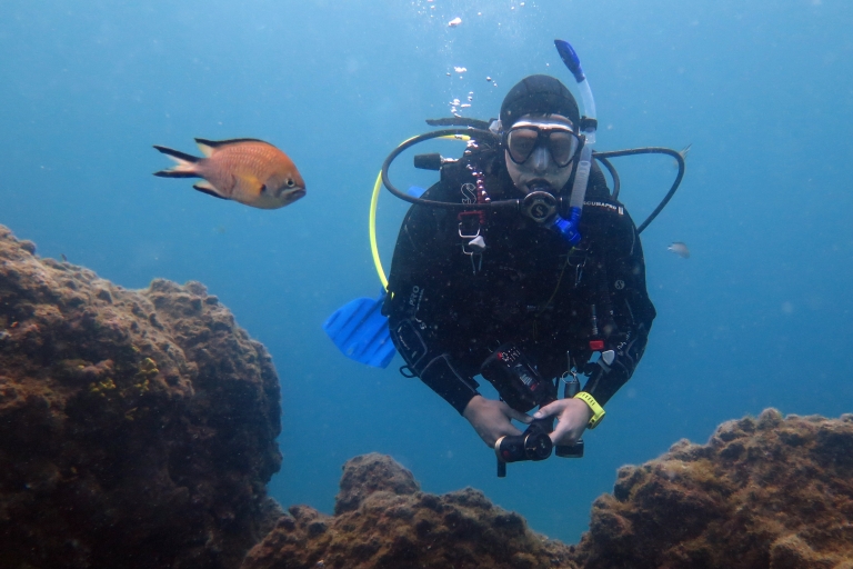 Puerto del Carmen: Guided Scuba Dive for Certified Divers