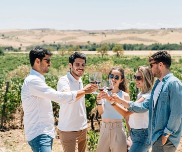 Da Madrid: tour della città di Toledo e degustazione di vini
