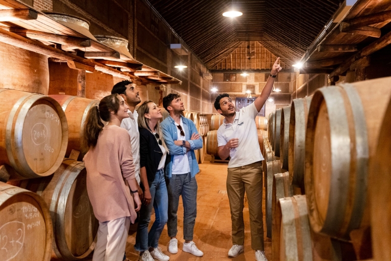 De Madrid: visite de la ville de Tolède et visite d'un vignoble