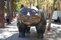 Barcelona City, El Raval y Barrio Gótico Audio Tour - Hizvo
