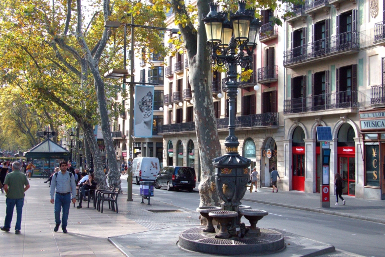 Ville de Barcelone : Visite audio d'El Raval et du quartier gothiqueBarcelone : Visite guidée audio de la ville d'El Raval et du quartier gothique