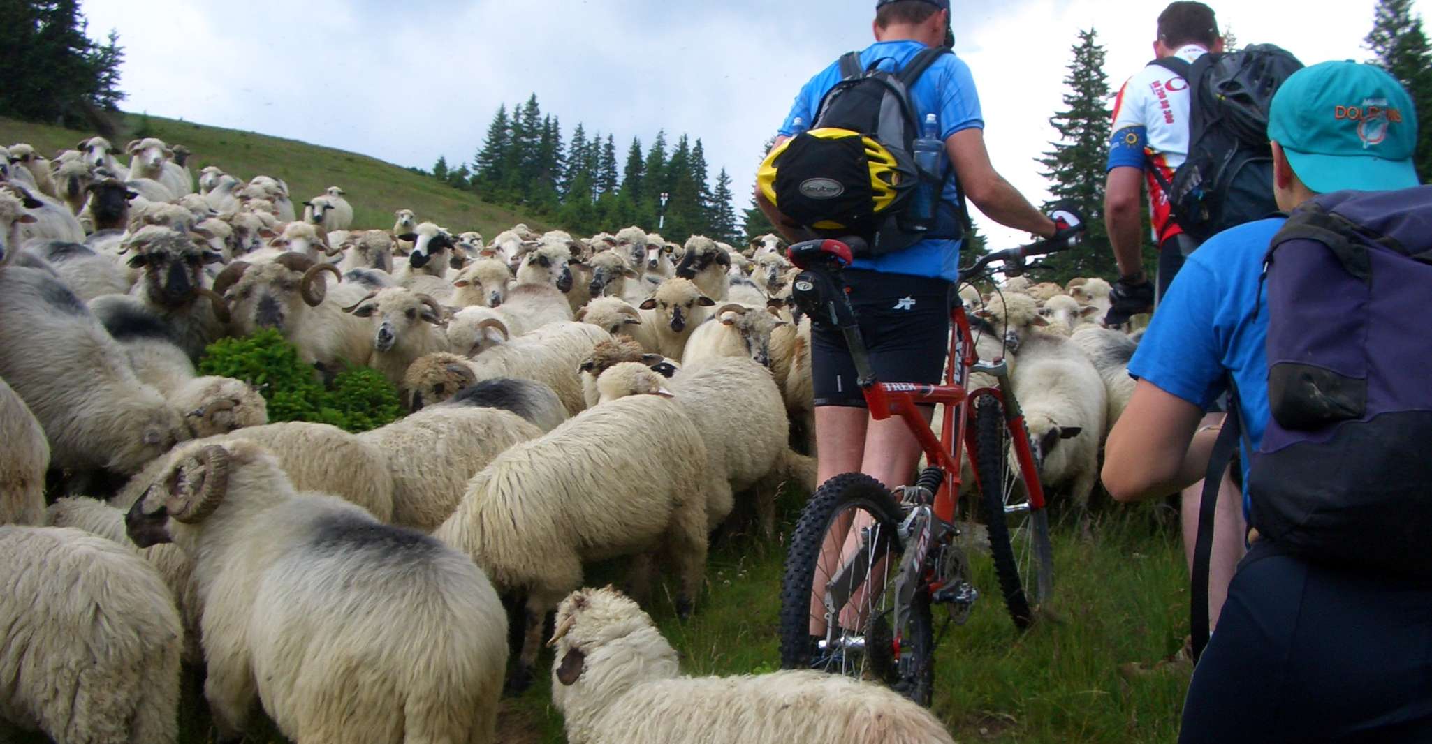 Suitetrails - Sibiu, Guided Highlights E-bike Tour