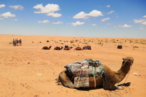Z Djerba Midun: 2-dniowa wycieczka po pustyni i starożytnej chacieTunezja: 2-dniowa, 1-nocna wycieczka po pustyni z Ancient Cottage