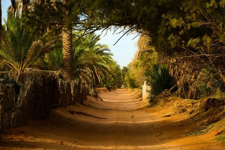 From Djerba Midun: 2-Day Desert and Ancient Cottage Tour Tunisia: 2-Day, 1-Night Desert Tour with Ancient Cottage