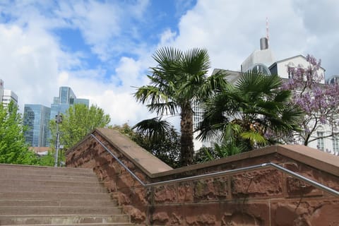 Frankfurt: Guided walk between palm trees and skyline